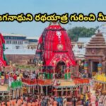 పూరీ జగనాథుని రథయాత్ర గురించి మీ కోసం…