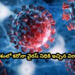 భారతదేశంలో కరోనా వైరస్ నిధికి ఇచ్చిన విరాళాలు