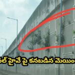 నేషనల్ హైవే పై కనబడిన మెయింటెనెస్ …