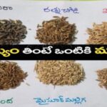 ఏ బియ్యం తింటే ఆరోగ్యానికి మంచిది…