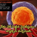 క్యాన్సర్‌కు చెక్ పెట్టిన సైంటిస్టులు.. సూపర్ వ్యాక్సిన్ వచ్చేసింది..