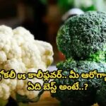 బ్రోకలీ vs కాలీఫ్లవర్‌.. మీ ఆరోగ్యానికి ఏది బెస్ట్ అంటే..?