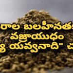 నిత్య యవ్వనాది…