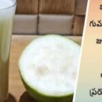 తెల్ల గుమ్మడికాయ ప్రయోజనాలు..