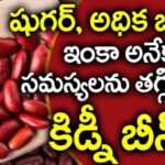 షుగర్ అధిక బరువుకు మంచి ఆహారం….