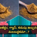 అజీర్ణం, గ్యాస్, కడుపు ఉబ్బరం, మలబద్ధకమా…?