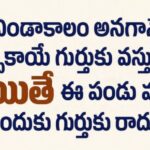 ఎండలు,మొదలయ్యాయంటే…