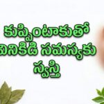 వినికిడి(చెవుడును) లోపానికి అద్భుతమైన ఆయుర్వేద చిట్కా…