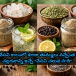 వేసవి కాలంలో కూడా తుమ్ములు వచ్చేంత చల్లదనాన్ని ఇచ్చే “వేసవి చలువ పొడి”