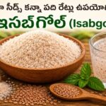భారత్‌లో ఇప్పుడు చియా సీడ్స్ చాలా పాపులర్ అయ్యాయి కానీ…