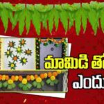 పండుగలకు గుమ్మానికి మామిడి తోరణాలు ఎందుకు కట్టేవారు?