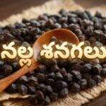 నాన్ వెజ్ తినని వారికి వరం – నల్ల శనగలు