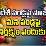 విదేశీ పండ్లపై మోజు… మన పండ్లపై నిర్లక్ష్యం ఎందుకు..