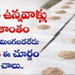 షుగర్ ఉన్నవాళ్లు జీవితాంతం మందులు మింగబడలేదు…