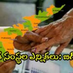 స్థానిక సంస్థల ఎన్నికలు: బిగ్ అప్డేట్
