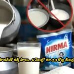 నిర్మా పౌడర్‌తో కల్తీ పాలు.. 6 నెలల్లో రూ.2.3 కోట్ల లీటర్ల అమ్మకం