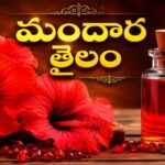 మందార తైలం…