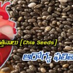 చియా విత్తనాలు (Chia Seeds)  ఆరోగ్య ఫలితాలు