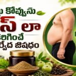 ఐస్ లా కరిగించే చూర్ణం మేధోహర చూర్ణం…