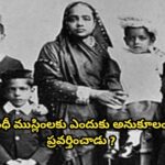 గాంధీ ముస్లింలకు ఎందుకు అనుకూలంగా ప్రవర్తించాడు ?