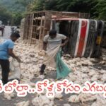కోళ్ల లారీ బోల్తా.. కోళ్ల కోసం ఎగబడ్డ జనం!