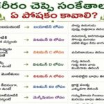 శరీరము చెప్పే సంకేతాలు…