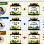 ఎటువంటి అనారోగ్యం బారిన పడకుండా ఆరోగ్యంగా, ఉత్సాహంగా ఉండాలంటే…
