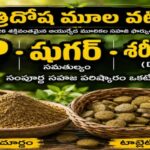 త్రిదోష మూల వటి…