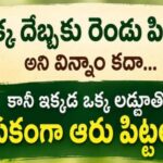 ఒక్క దెబ్బకు రెండు పిట్టలు అని విన్నాం కదా…