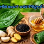 గుండె బ్లాకేజీ ఉందా? అధిక కొలెస్ట్రాల్ ఉందా ? ఎక్కువగా ఆయాసం అవుతుందా ?